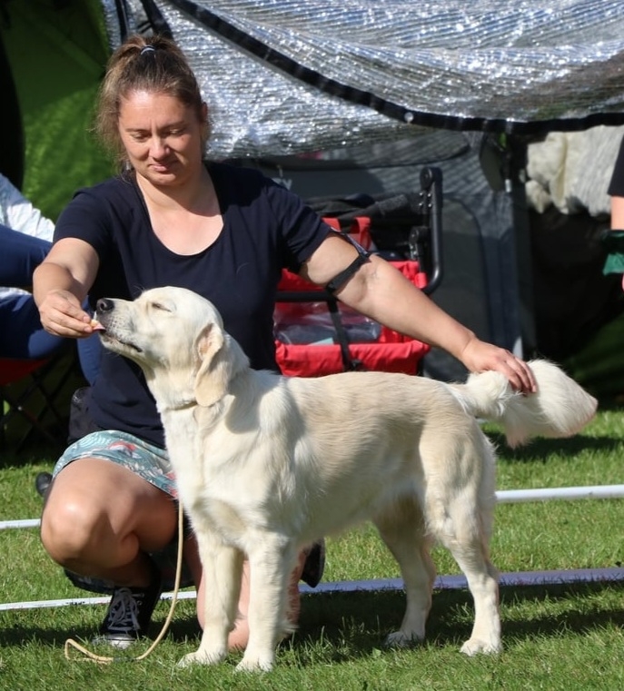 buffy sweet love nifi